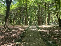 -杭州植物园