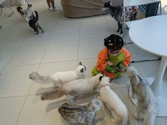 -怪兽屋·羊驼·猫咖·狗咖(俊华广场店)