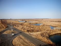 -盐城丹顶鹤湿地生态旅游区