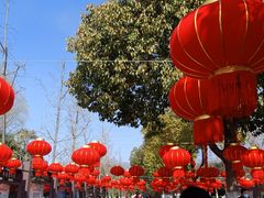 -合肥野生动物园