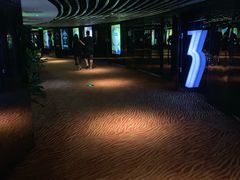 -上海金逸影城(静安大悦城店（原新恒星影城）)