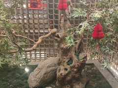 -船歌·鱼水饺青岛菜(闽江二路店)