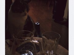-UN CAFFE(五角场店)