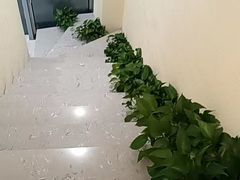 -阮氏中医推拿·颈肩腰腿(世纪公园店)