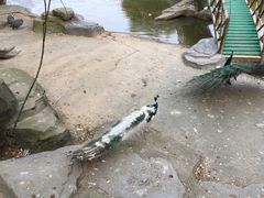 -南昌动物园