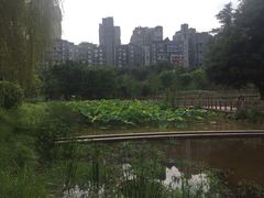 -沐仙湖湿地公园