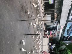 -绵阳人民公园(涪城区)