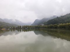 -后柳水乡