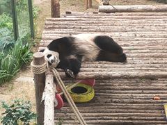 -大连森林动物园