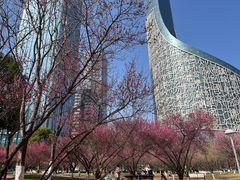 -安徽广播电视台