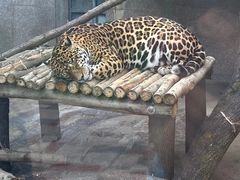 -昆明动物园