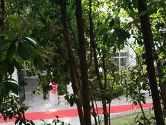 -花马天堂云南餐厅 Lost Heaven(高邮路店)