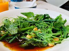 清炒南瓜尖儿-巴依老爷新疆美食(昌平店)