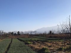 -翠田Green Field Kitchen