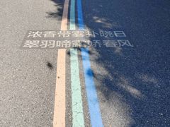 -杭州半山国家森林公园