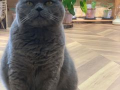 -Rabbit Cafe私房西餐甜点咖啡(栖霞路店)