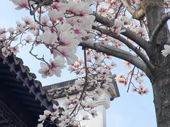 -拙政园