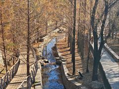 -白水寺森林公园