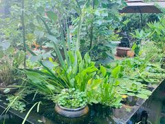 -肴约·花园式餐厅(湖里店)