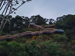 -福道