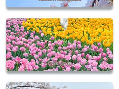 -苏州上方山国家森林公园
