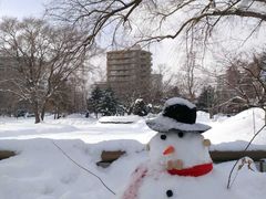 -札幌电视塔