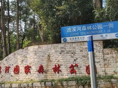 -广州市流溪河国家森林公园