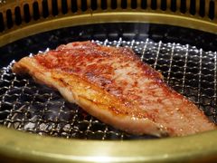 射和牛M9+级冷藏熟成和牛-觅福里•熟成和牛餐厅