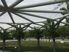 -紫荆广场·花漫里