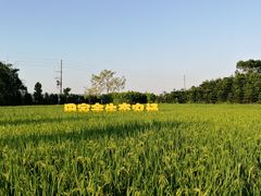-迪茵湖田家舍生态农场