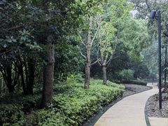 -仁恒西郊花园