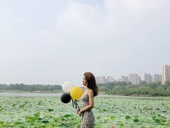 -丁香湖公园