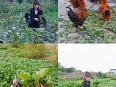 -凤来栖·净庭院·火锅(欧尚店)