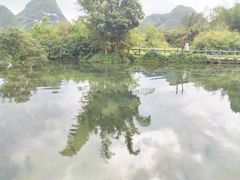 -靖西鹅泉风景区