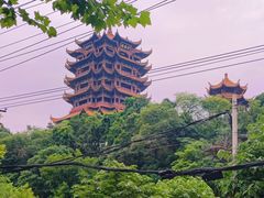 -黄鹤楼公园(黄鹤楼)