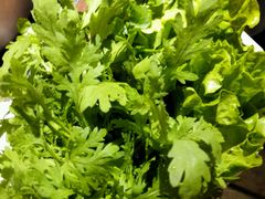 -牛很鲜潮汕牛肉火锅(朝晖路店)