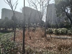 -海天湖公园