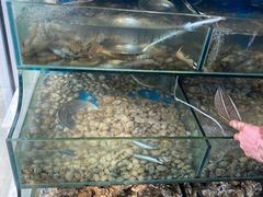 -仙螺岛海鲜自助餐厅(总店)