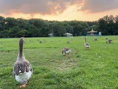 -银树楼(紫玉山庄东区店)