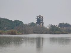 -大湾区中央湿地公园