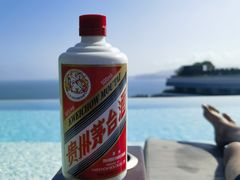 -瑰丽酒店·海吧·天际下午茶·现场DJ·天台酒吧