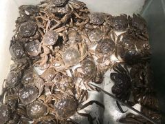 -釜御山海鲜烤肉火锅自助(新城市中心店)