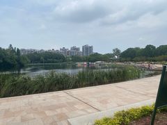 -新江湾城公园