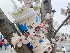 -Beans Solo豆号咖啡(百家湖花园店)