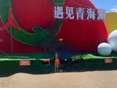 -青海湖国家重点风景名胜区