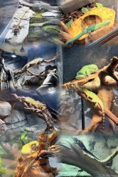 -Zoolung Zoolung动物主题公园(海信广场店)