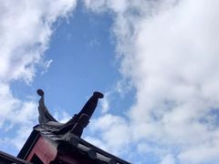 -隔壁老王·家常云南菜(皇冠店)