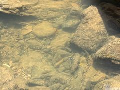 -溪口-滕头旅游景区