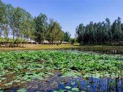 -东郊湿地公园