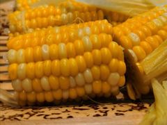 -光明招待所(邦凯科技园店)